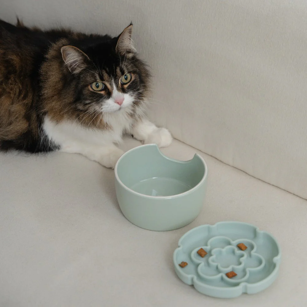 Dexypaws Bol surélevé en céramique pour chat 7.75 oz - Avec ralentisseur - Forme de fleur - Vert sauge – Image 4
